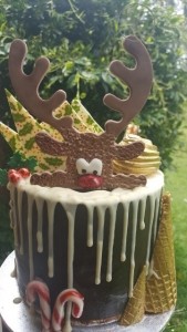 Christmas Cake, Christmas Chocolate Cake, Rudolph Cake, Holly Cake, Candy Canes Cake