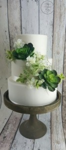 Cakes with Succulents, Rustic Wedding Cakes, Wedding Occasion Cake with Succulents Greenery